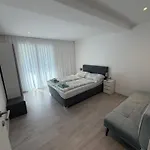 Apartment Kabashi Exclusive Living & River View Fischhorn