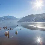 Kabashi Exclusive Living & River View * Fischhorn