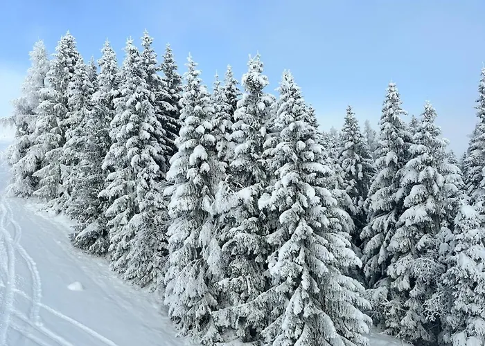 Kabashi 2 River View Apartamento *